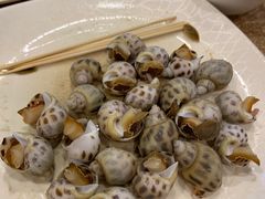 白灼花螺-揭阳钟记小食(福田新村店)