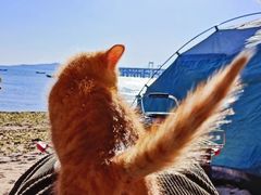 -银沙滩浴场
