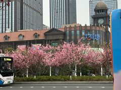 -中南南通体育会展中心