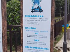 -黄海国家森林公园