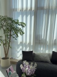 -JNK皮肤管理中心