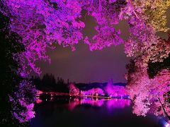 -杭州龙禧福朋喜来登酒店