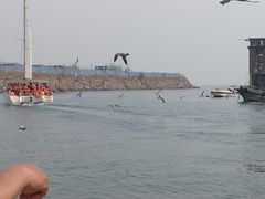 -拓恩帆船俱乐部