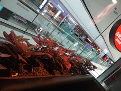 -百特喜·意大利餐厅(万达常德店)