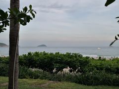 -三亚亚龙湾天域度假酒店