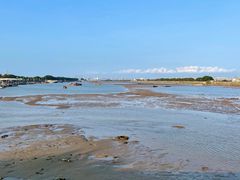 -大湾区中央湿地公园