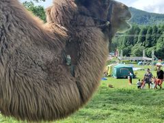 -武陵山森林公园