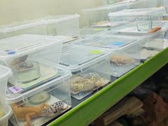 -宝鸡东道花鸟鱼虫市场(吉利花园商场店)