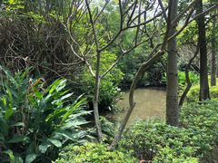 -广东花都香草世界旅游度假区