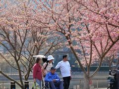 -西北湖绿化广场