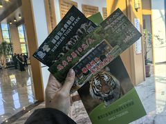 -横道河子东北虎林园