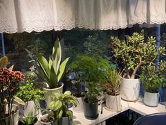 -懒人盐府人家(航天桥店)