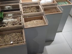 -叶子与茶(苏宁广场店)