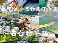 -石台牯牛降景区