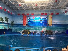 -多彩贵州城极地海洋世界