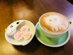 -猫咪博物馆(顶澳仔猫街店)