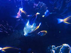 -多彩贵州城极地海洋世界