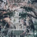 OneWedding丨属于你的花园婚礼