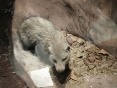 -陕西自然博物馆