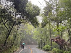 -岳麓山风景名胜区