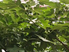 -西京医院