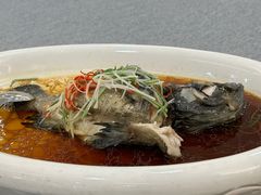 -外滩1288花园丽舍