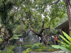 -Chom Cafe and Restaurant