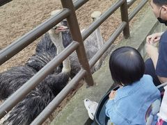 -安徽大青山野生动物世界