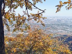 -香山公园