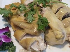 白切文昌鸡-墨脱石锅椰子鸡•香草鸭•东山羊(大东海店)