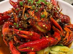 -不炭白烧烤(成都首店)