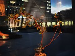 -凤凰湘语(浦东旗舰店)