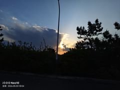 -日照海滨国家森林公园