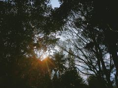 -晓港公园