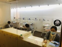 -海豚湾高端月子会所(黄浦店)