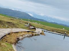 -新疆那拉提国家旅游度假区
