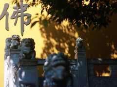 -天下玉苑