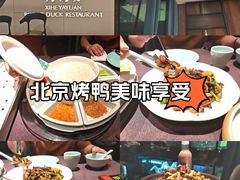 -羲和雅苑•北京烤鸭(乐园道万象城店)