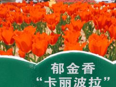 -江南大学(蠡湖校区)