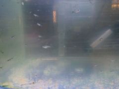 -清真·二嫂子煎饼果子(鼓楼旗舰形象店)