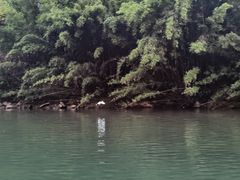 -九曲溪竹筏码头