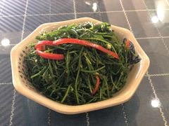拌沙葱-天源居餐厅·地方特色菜(张北店)