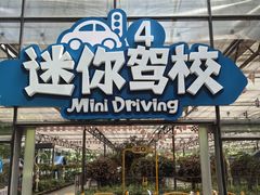 -南宫五洲植物乐园