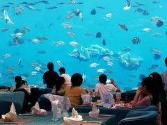 -瑞德姆美人鱼海底演艺主题餐厅(亚龙湾店)