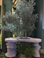 -DC大蔡婚礼策划(李公堤店)