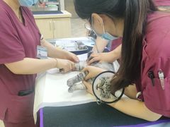 -美联众合动物医院·24h转诊中心
