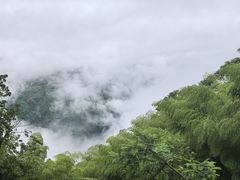 -藏龙百瀑风景区