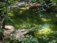 -牛背梁国家森林公园