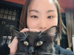 -猫色咖啡·猫咖