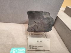 -湖南省地质博物馆